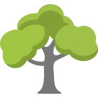Columbus Tree Removal Service
