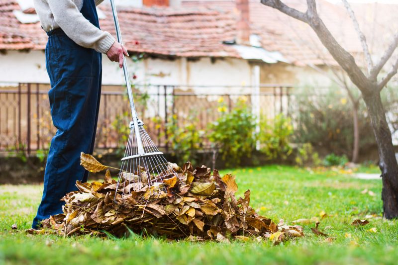 Final Leaf Cleanup
